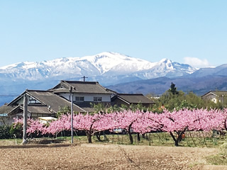 就労継続支援B型とは