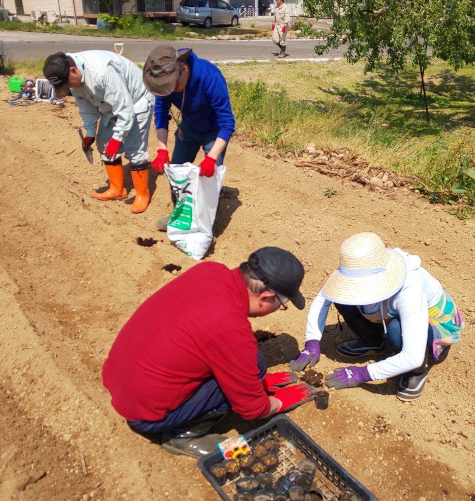 「いのちの木ファーム」