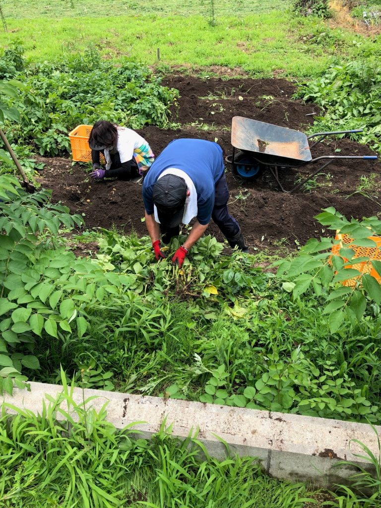 久々の農作業！！