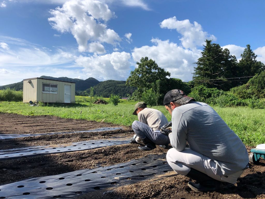 ニンジンと冬菜