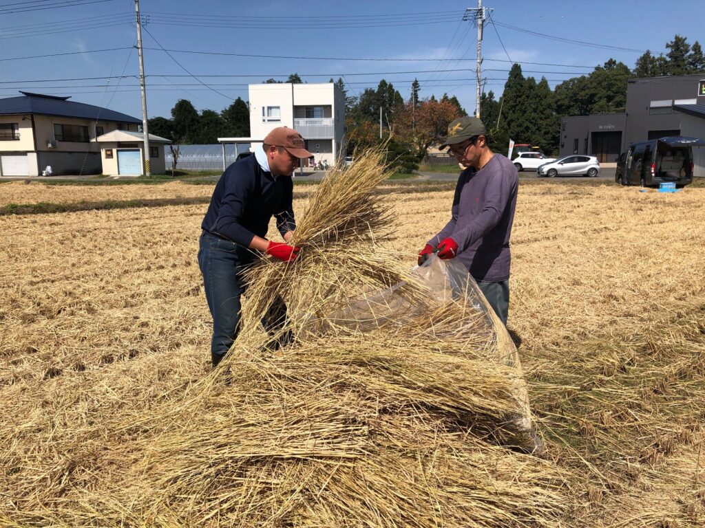 藁を頂いてきました！！