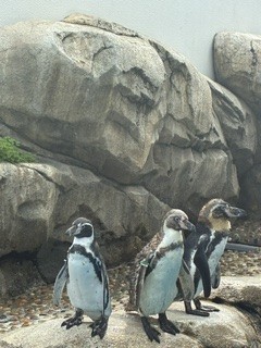 うみの杜水族館へ